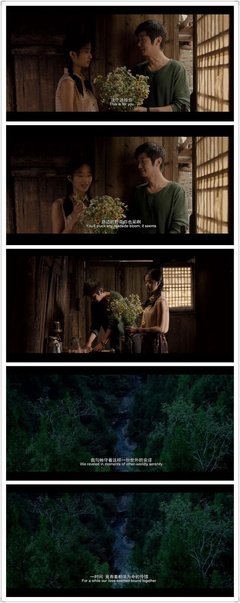 《胶片时代爱情》经典影评10篇