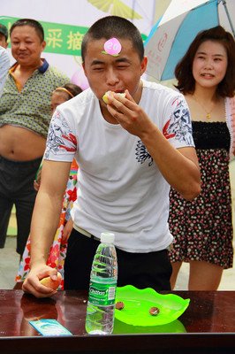 桃子夏经典名句