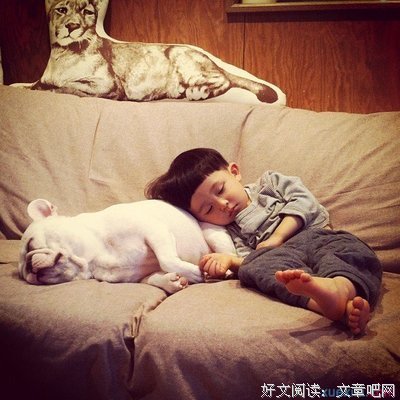 15条关于大笨蛋的经典语句