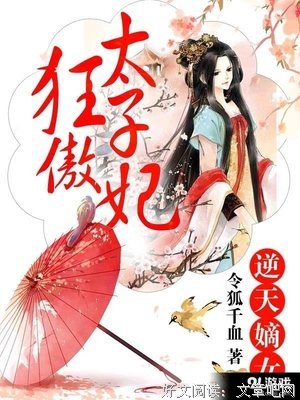最全的《妃子血》小说书摘