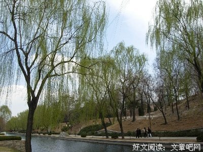 关于粗壮的语句