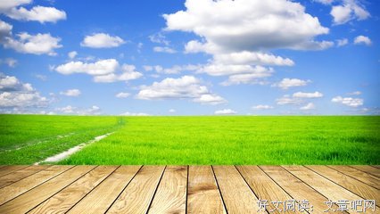 《暗色天堂》好看吗？经典观后感10篇