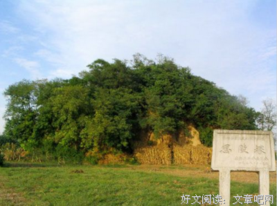 关于陈王的名言