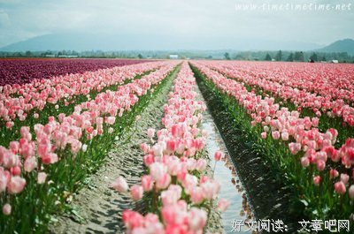 关于酸甜苦辣的唯美语录
