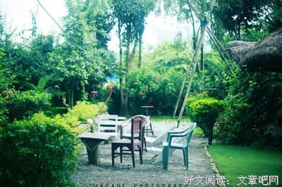 最新的《棠棣之华》语录摘抄大全
