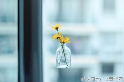 有关马月的美句摘抄