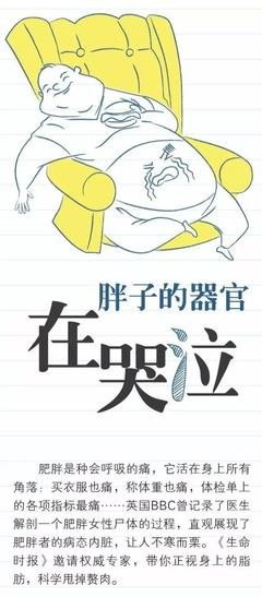 肥胖是会呼吸的痛