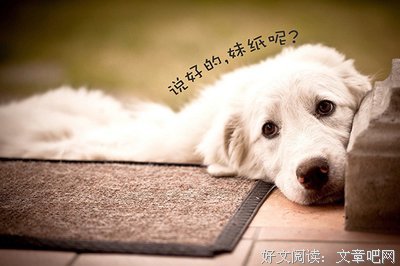 单身狗，好疼 | 格外有用