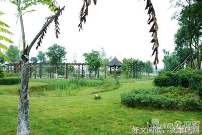 最全的《西江月》语录摘抄大全