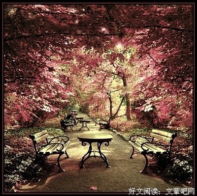 杂乱无章的句子