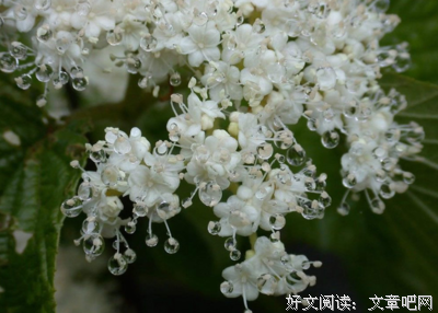 描写善解人意的经典句子