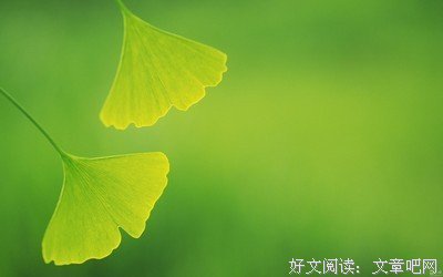 关于秀秀的座右铭