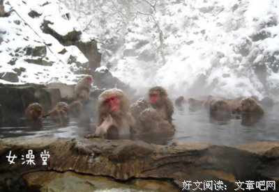 心声 | 选男人，一定要看这一点