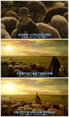 《Dr.伦太郎》的观后感10篇