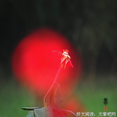 描写梦非梦的经典句子
