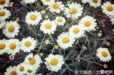复合成功后，怎么和男友相处？