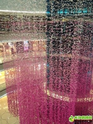 《青春的三段回忆》观后感精选10篇