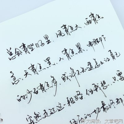 有关张震的美文美句摘抄