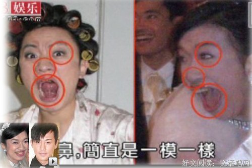 天上掉下来的，不止林妹妹，还有荒野茶!
