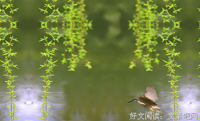 关于清醒的语句