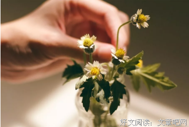 婚姻残酷真相：要么娘家有钱，要么自己有钱