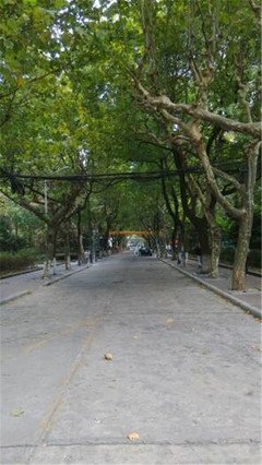 《华政》的影评10篇