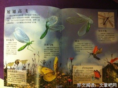 《美好百科2：糟糕！我的脑子在跑》的读后感10篇