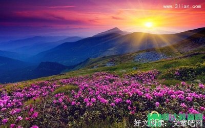 描写踌躇不前的经典句子