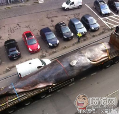 易伊一经典语录