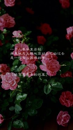 最全的七堇年经典句子
