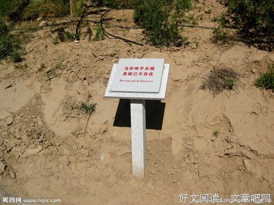 《小心轻放的光阴》名句欣赏大全