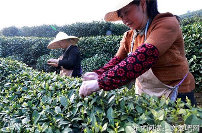 【本周喝什么】4.23-4.29