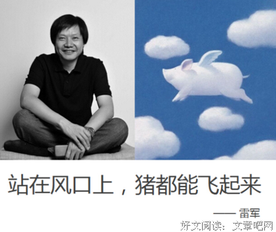 少聊风口，多聊聊猪