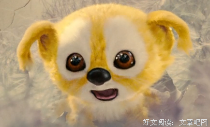 《我要你开花》影评10篇