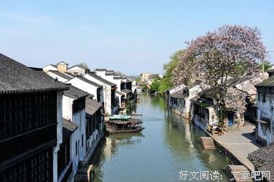 《十二道锋味2》观后感10篇
