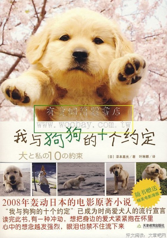 《辣警霸王花》观后感10篇