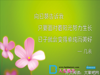 杨幂格言警句