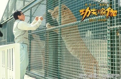 《功夫瑜伽》经典影评集