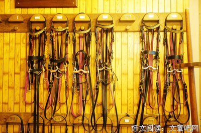 愿上帝保佑法兰西厨子读后感精选10篇