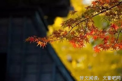 最经典的落落名句欣赏