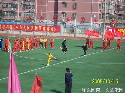 2017老猪经典名句
