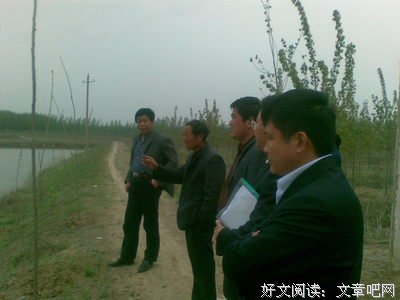 最全的《为安格的雪样年华》小说句子大全