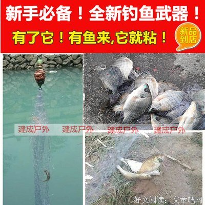 《钓王》好段摘抄