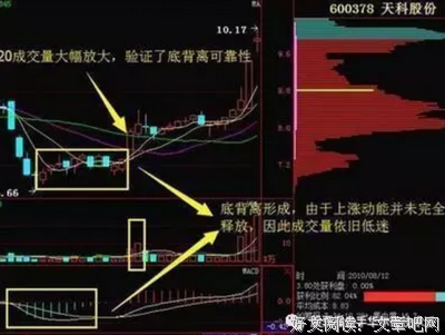 最全的《智慧奥秘》经典语句