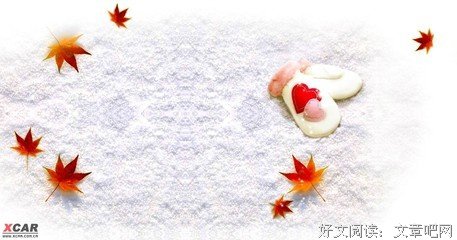 关于冰之的语句