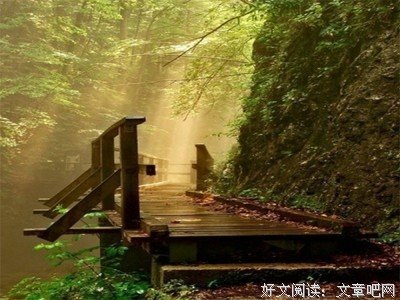 雷语 | 中国男人的通病：我妈永远是对的