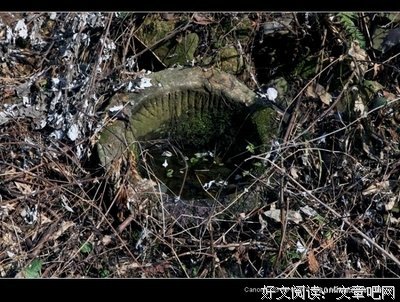 《龙窖山赋》