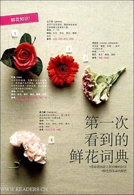 《别爱上任何人》读后感10篇