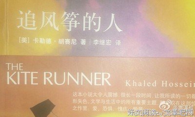 《见过爱情的人》读后感10篇