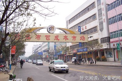 朱迪·皮考特名言大全